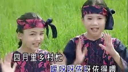 外地人眼中的广西，本地人眼中的广西都是怎么样的？误解有多深？