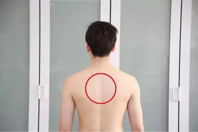 健身美背的方法,新手健身怎么练美背