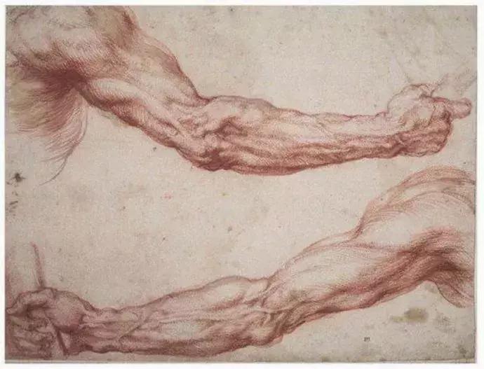 巨匠鲁本斯的素描作品图片,鲁本斯顶级素描