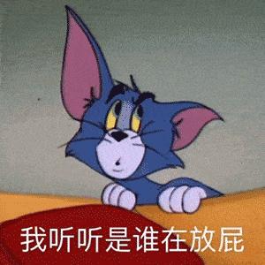 可爱小猫表情包搞笑图片,开心表情包可爱搞笑图片