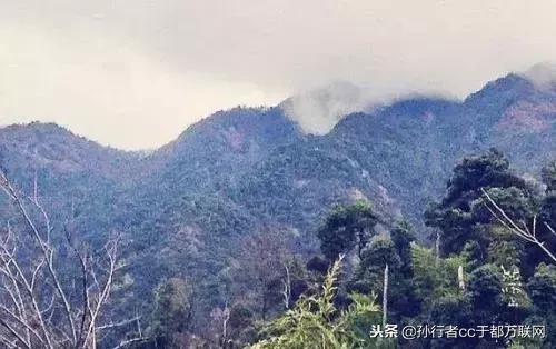 于都哪个乡镇最大，哪个最小、哪个最有人气？