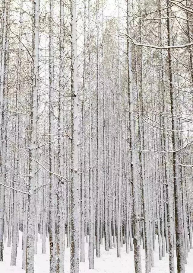 辽宁省有个小城市,辽宁最有魅力的小城