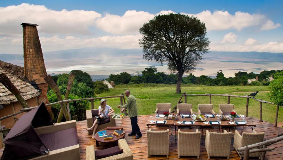 世间稀有的白色长颈鹿母子，在非洲被残忍猎杀，发现时只剩骨骼