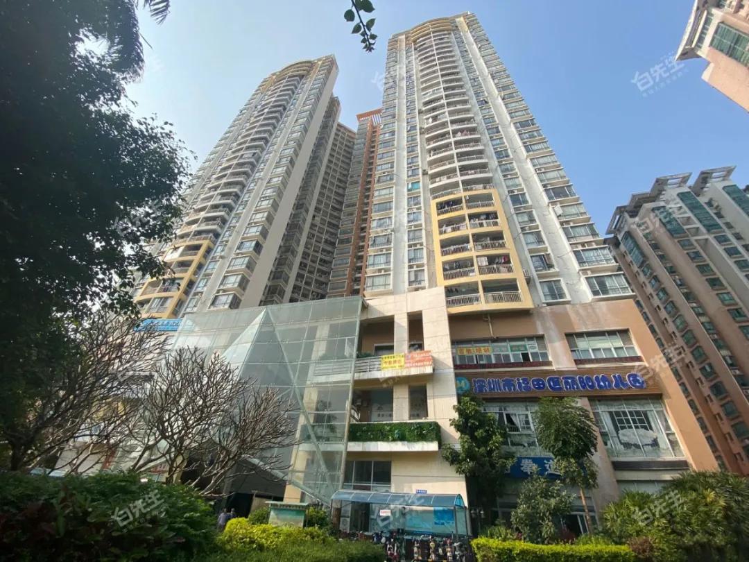 八大录取率名列前茅的二梯队石厦学校，学区房500万起