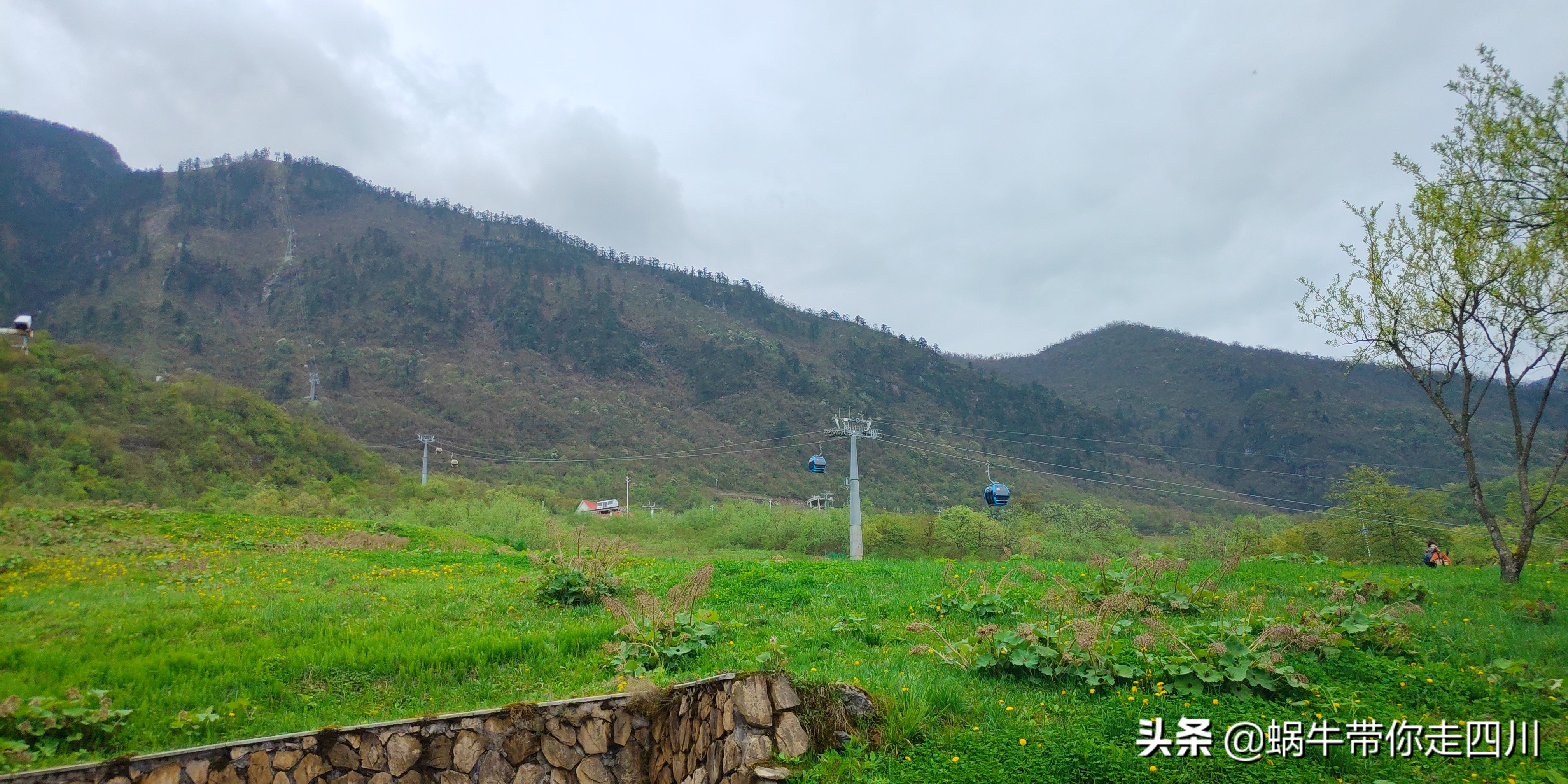 成都去西岭雪山两天一夜旅游团,成都出发雪山旅游