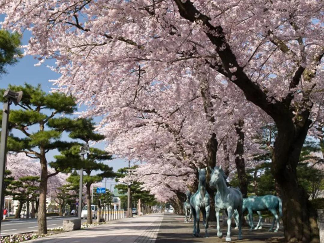 白天打卡33组奇妙的巨大装置，夜晚欣赏蓝色的光之海洋