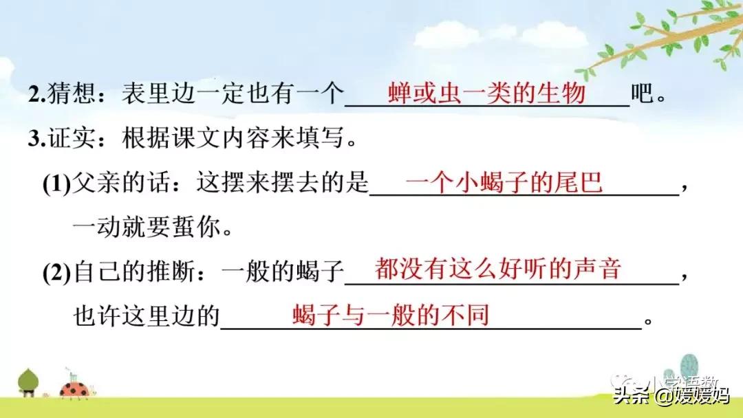 六年级下册语文表里的生物朗诵,六年级下册表里的生物小练笔400字