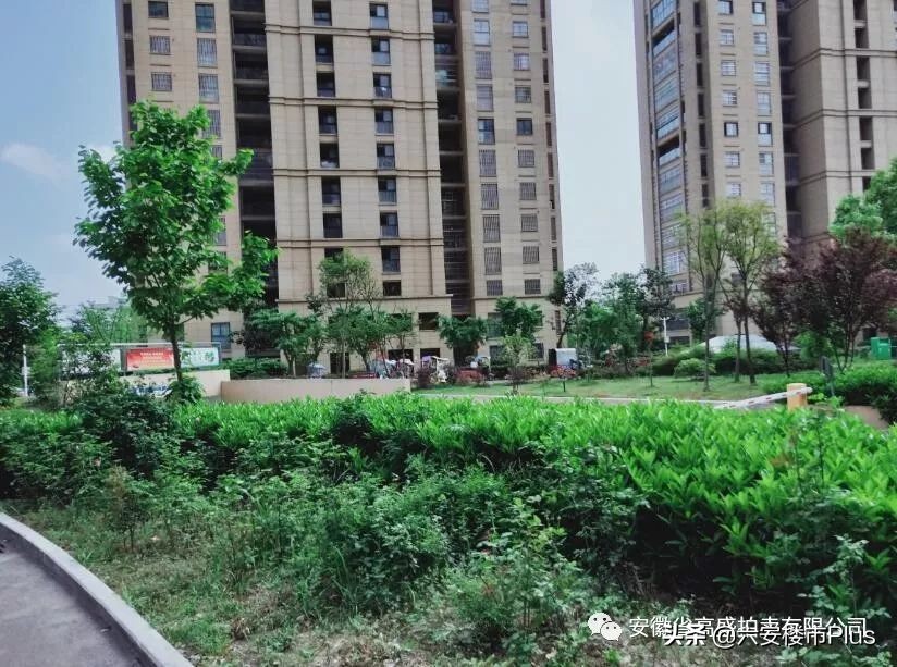 六安特价房源50万以下,六安房价急售