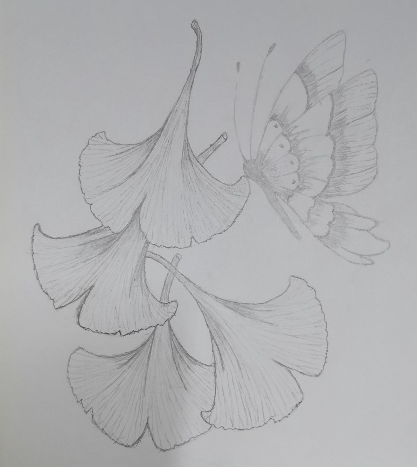 我眼中的茶,茶学专业出来都干嘛了