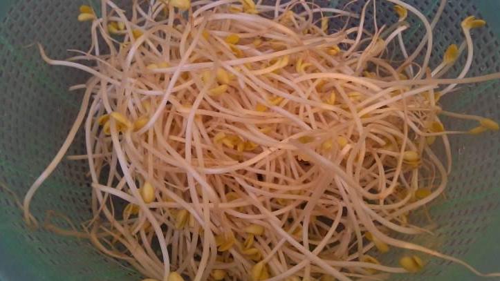 山东豆芽违禁添加剂,最新国家食品豆芽合法添加剂