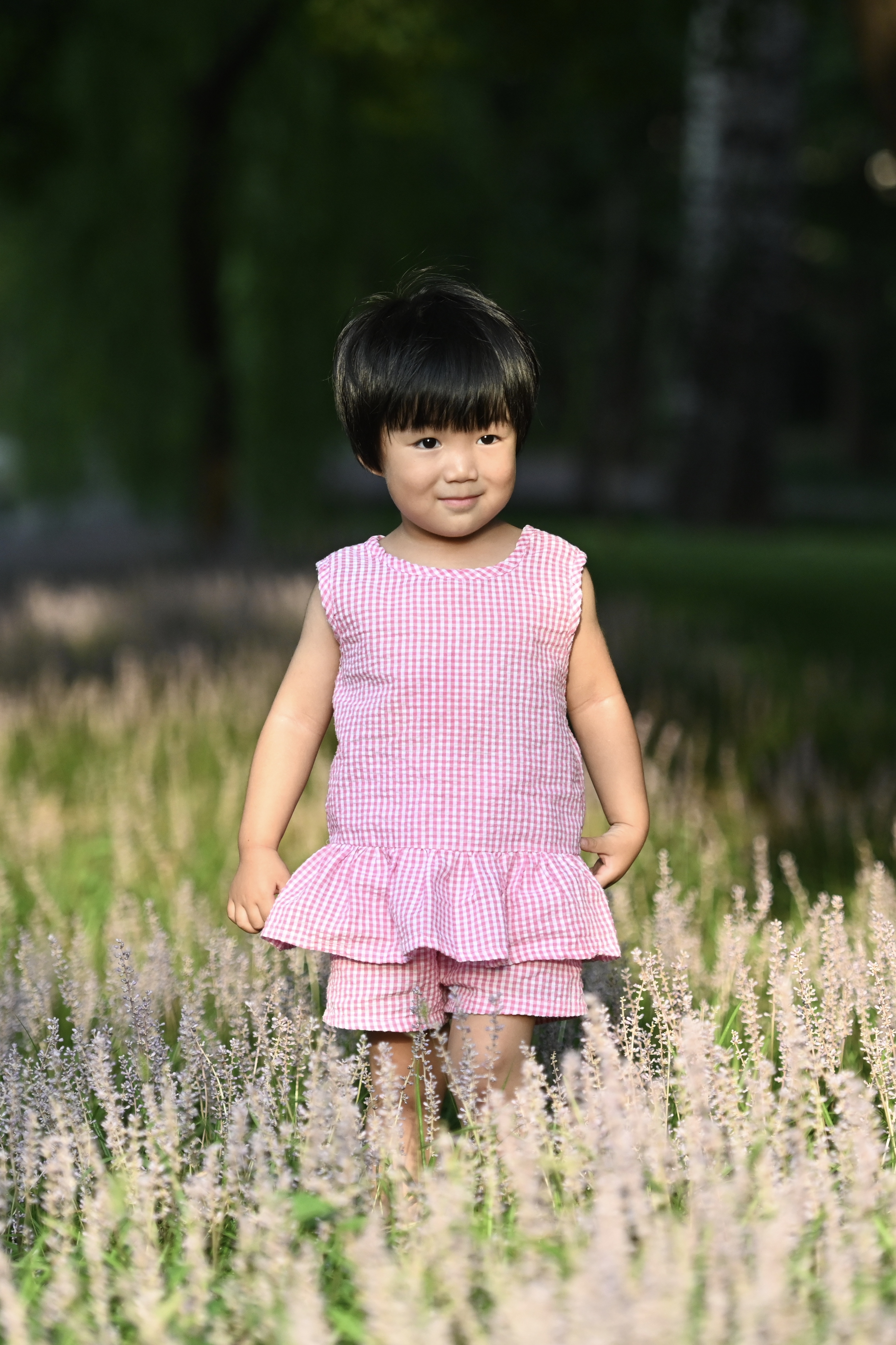 南郊美美,南郊宾馆的风景