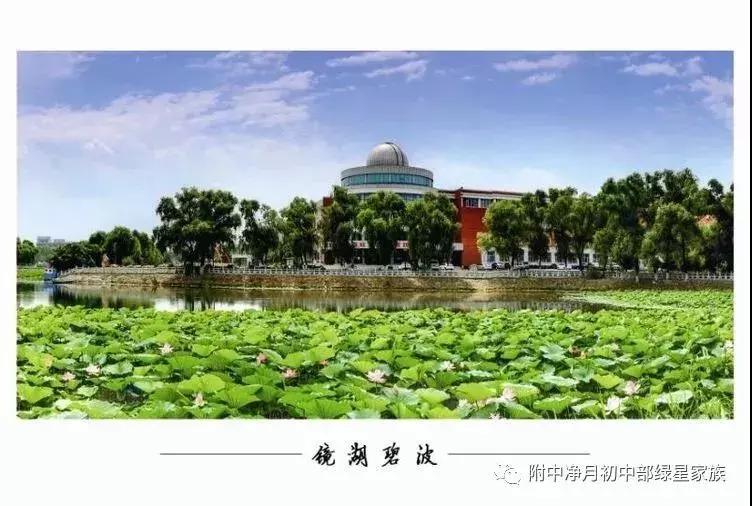 为什么家长送孩子到辅导班好,为什么有些家长送孩子去体校