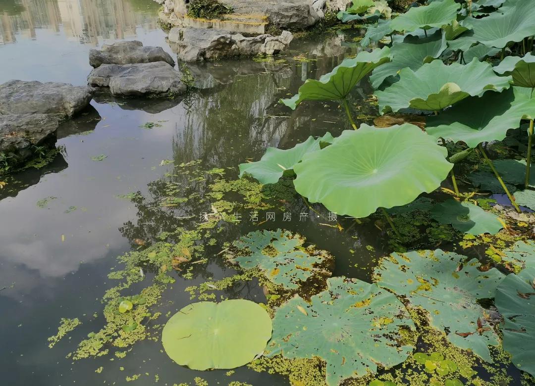 扬州的老城区有什么好玩的,老城区新增商业