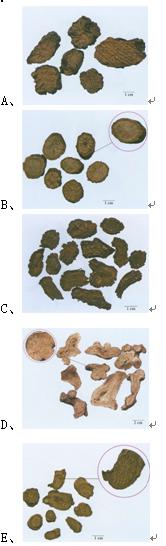 药学执业药师历年真题讲解,执业药师中药学历年真题资源