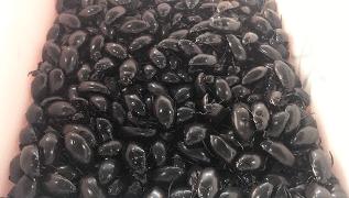 广州海鲜天堂介绍,广州黄沙有哪些海鲜