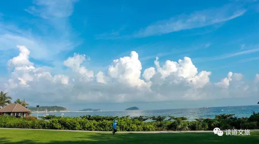 农业种植如何设计项目融资,个人投资农业项目怎么起步