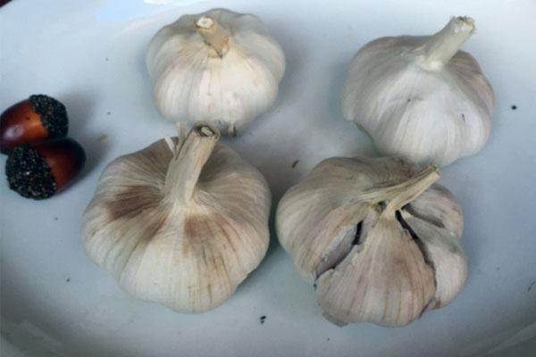 吃大蒜后嘴巴臭用什么可以解决,一吃大蒜口气特别重怎么回事