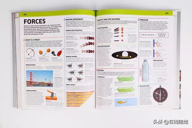 dk知识大百科全套,dk知识大百科书金银版