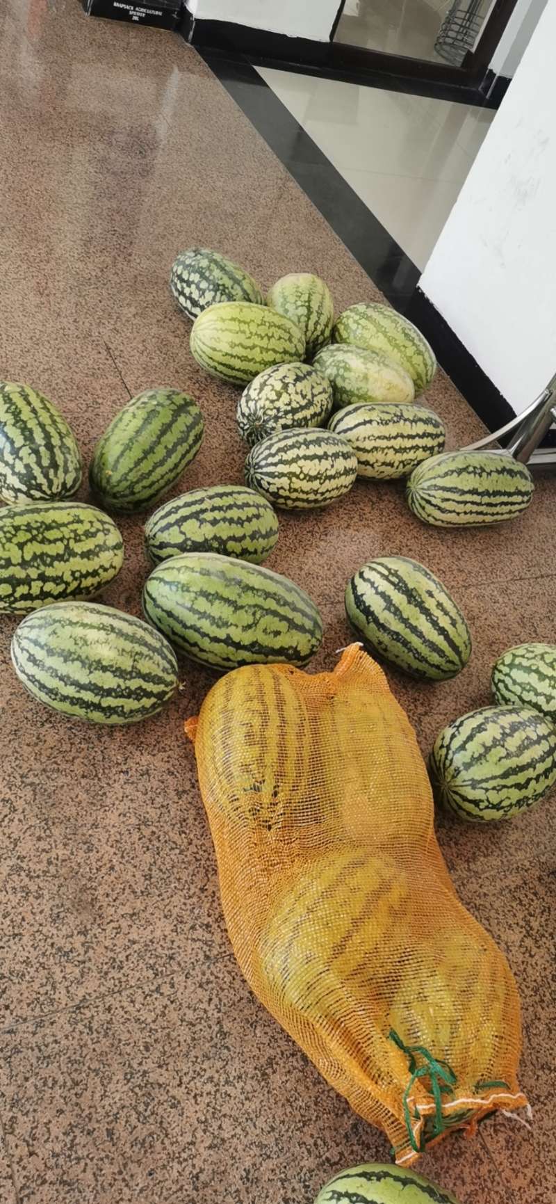 乌鲁木齐“仓盛社区送”爱心水果，情系抗疫一线社区志愿者