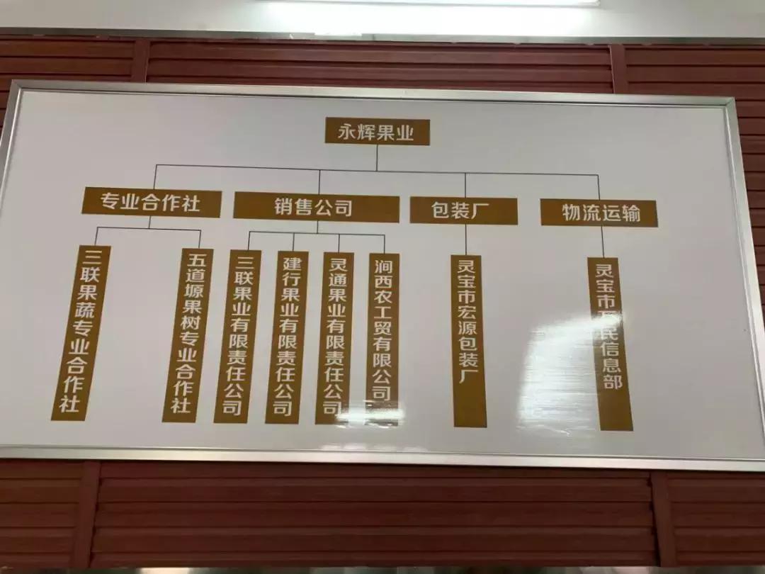 30元一颗的“灵宝金苹果”,如何在跌宕起伏的水果行业稳固生存?