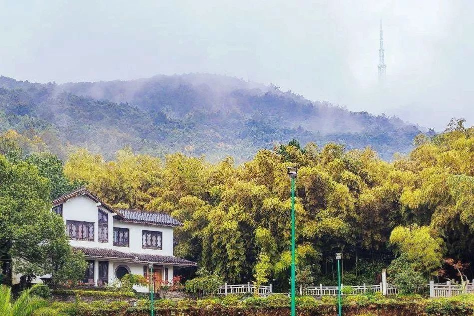 无锡好吃的又好看的餐厅推荐,舌尖上的无锡美食全集