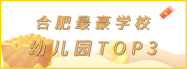 合肥十佳学校,合肥小学贵族学校排名