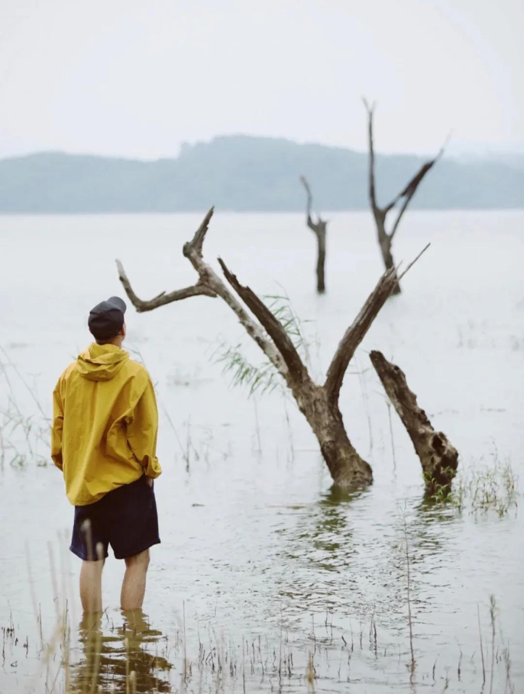 距离杭州45min的县城，竟藏着个“小新西兰”，趁人少快去