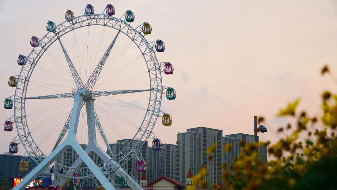 舟山希尔顿旅游攻略,舟山希尔顿酒店自由行热门攻略