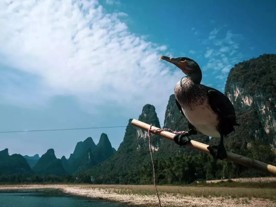 Alila糖舎酒店团建行(上)—九陌视角