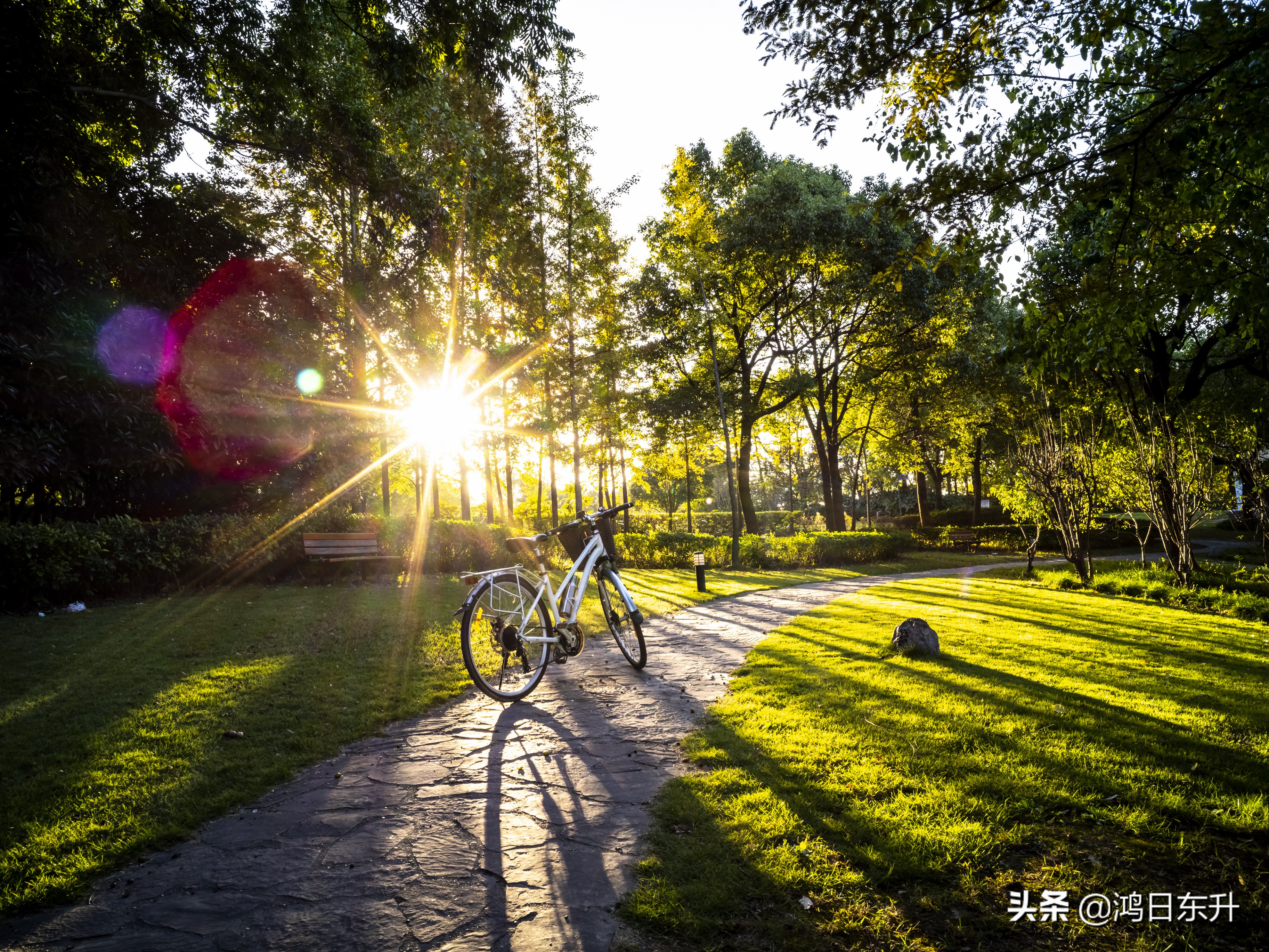 上海打拼的真实感受,在上海打拼是件很不容易的事