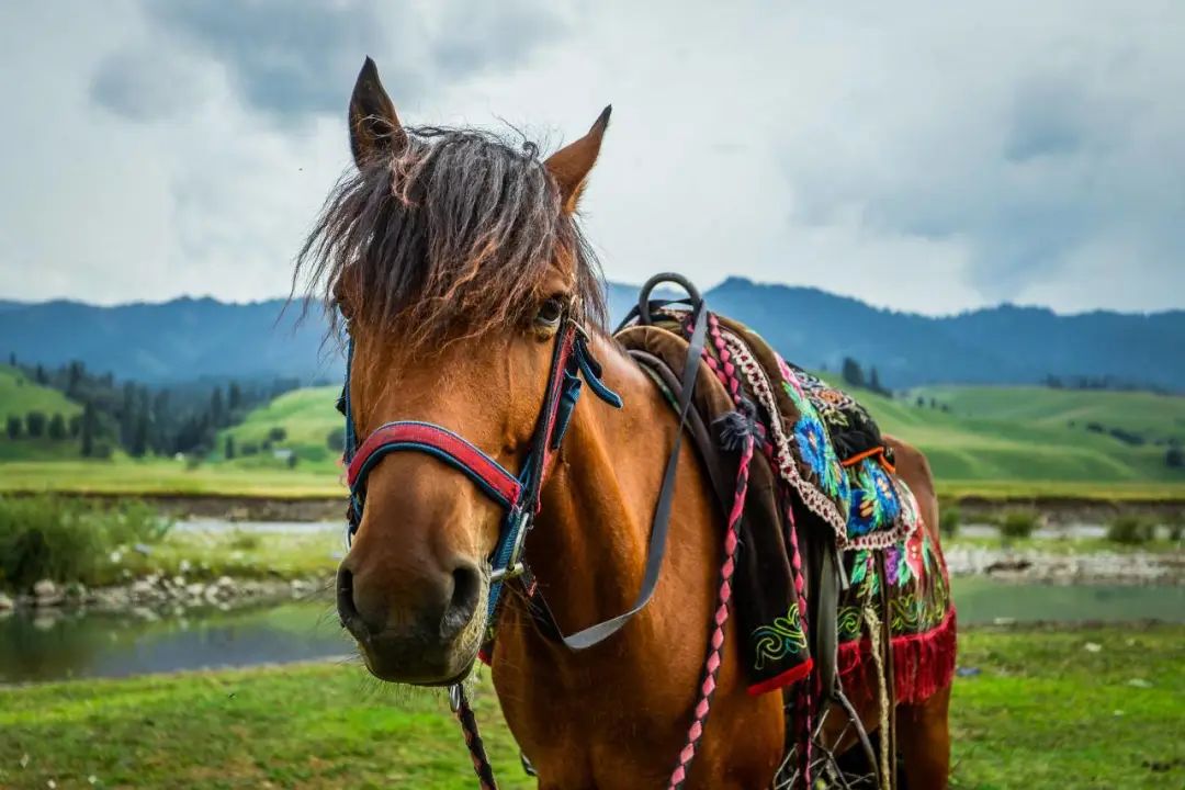为什么有些商品新疆不包邮,疆浙沪不包邮为什么