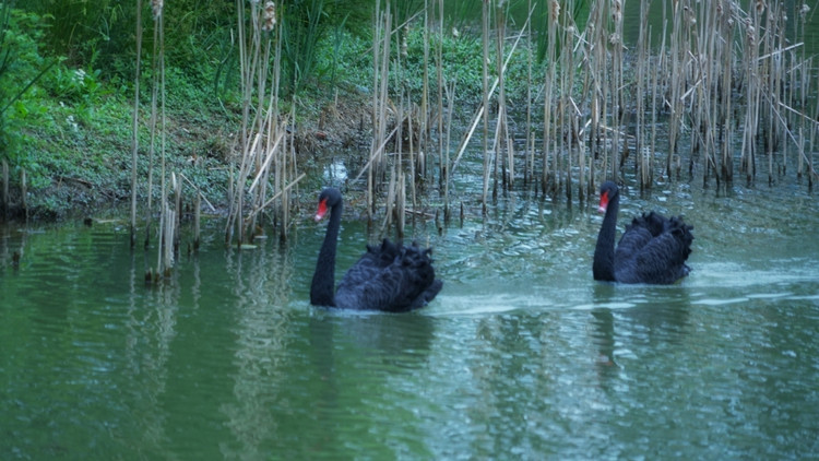 茅山宝盛园周边游玩,茅山宝盛园所有游乐设施