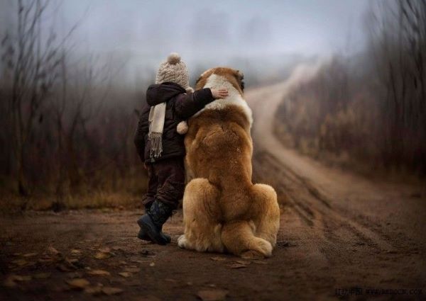 钟南山院士说养狗能增强免疫力,钟南山院士谈养宠物预防哮喘