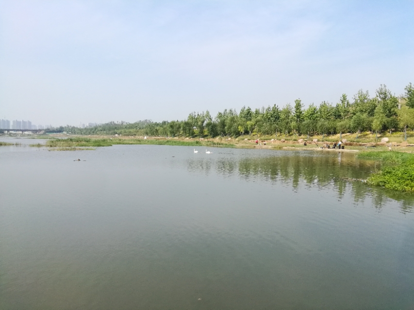 郑州贾鲁河千年古河,郑州贾鲁河八大景观