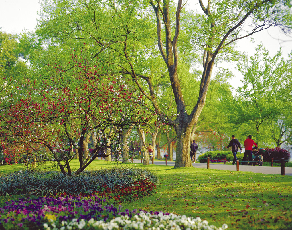 浙江杭州西湖苏堤冬景图片,杭州西湖风景名胜区苏堤