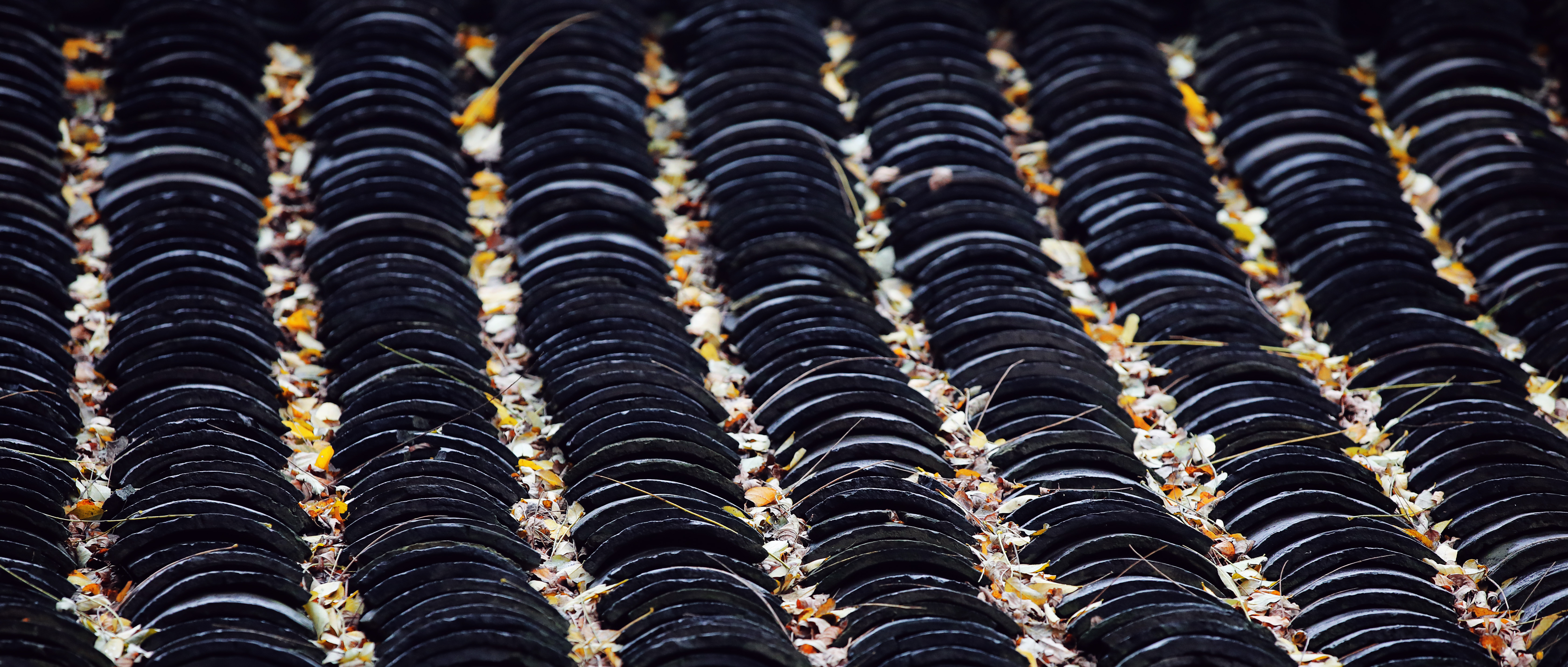 为什么去乌镇西塘,为什么一定要去一次苏州