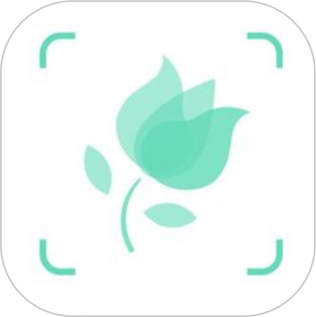 适合老师用的教学软件,教师常用教学软件推荐