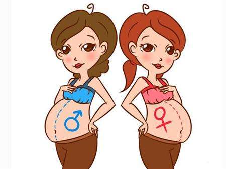 孕妇套话医生问男女,被识破臊一脸,这7项看男女的说法有效吗?