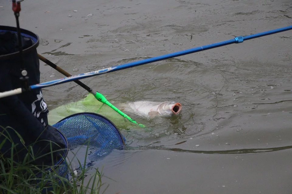 钓鱼添加剂小药野钓,钓鱼小药四季使用技巧图解