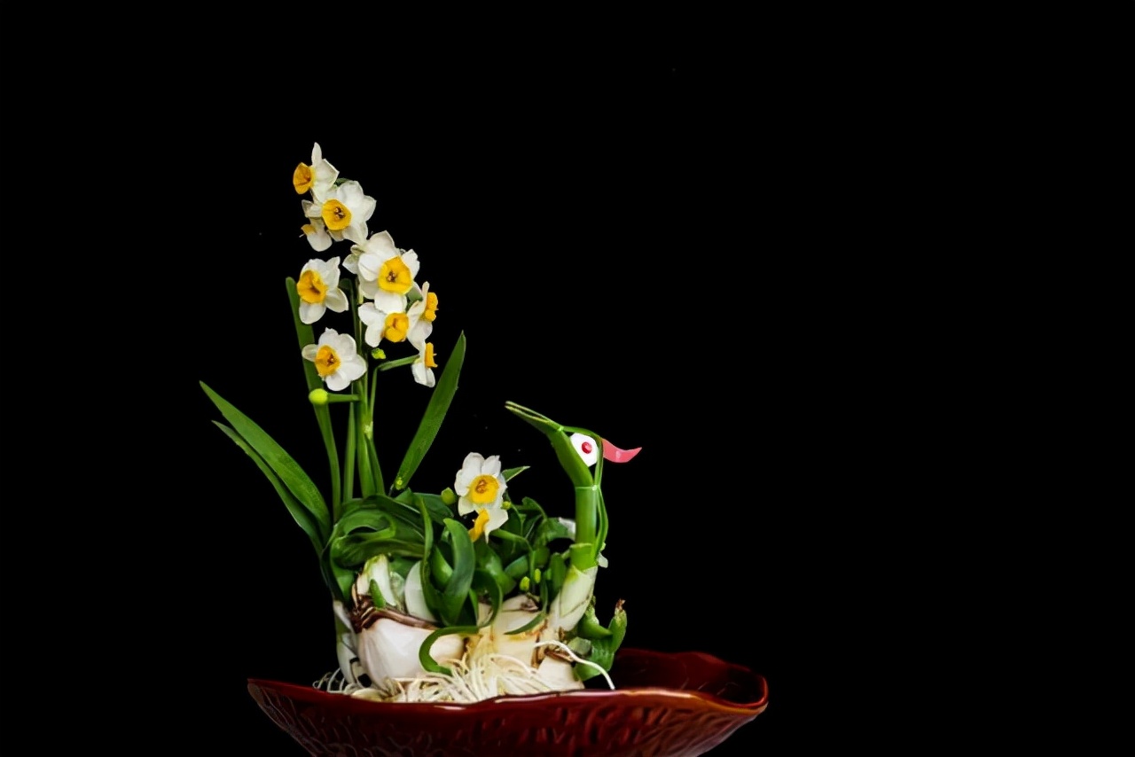 10月以后养什么花,这几种花省心省力养花新手看过来