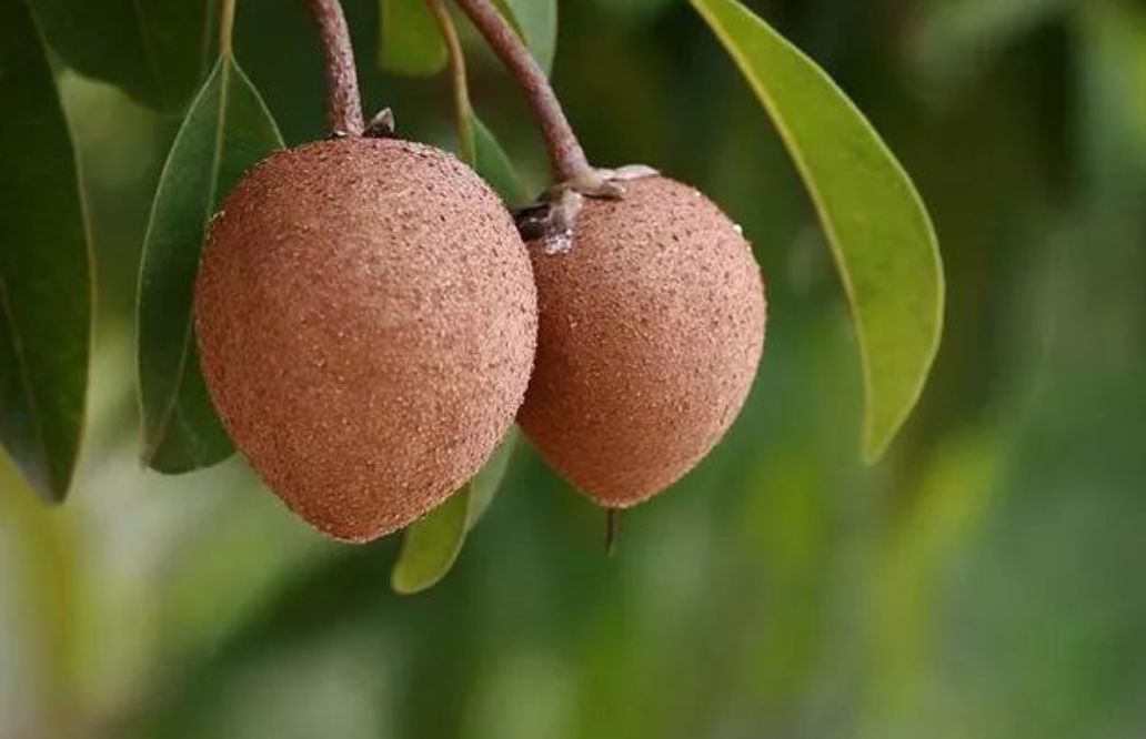 真的是活久见！长成这样居然能吃？