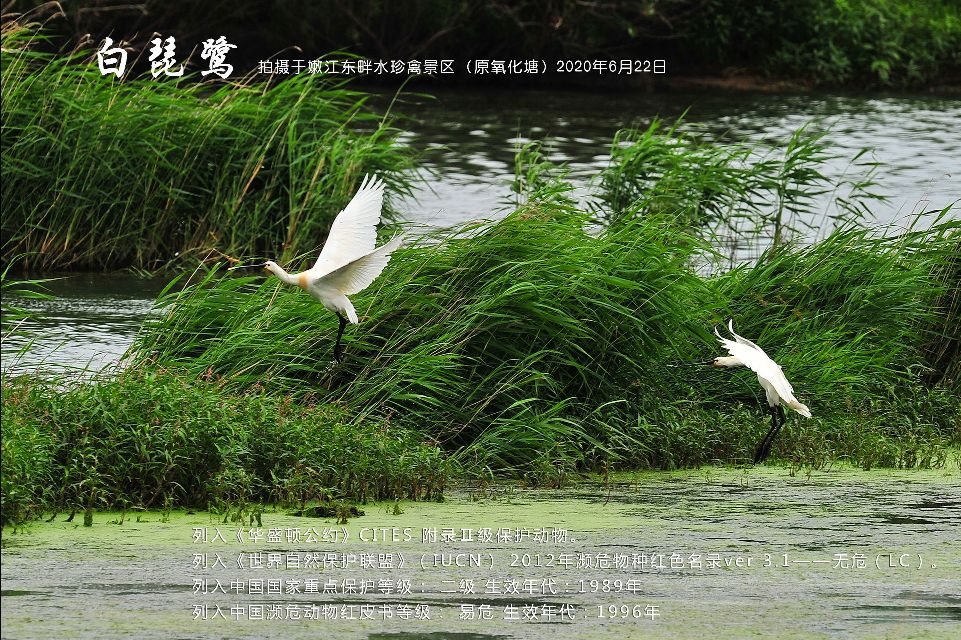 榻愰綈鍝堝皵瀚╂睙涓滄按鐝嶇鍏洯,榻愰綈鍝堝皵瀚╂睙涓滄按鐝嶇婀垮湴鍏洯