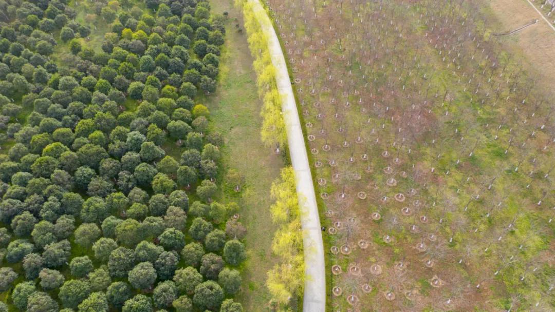 封开县黑石顶原始森林保护区,广东封开黑石顶北回归线上的绿洲