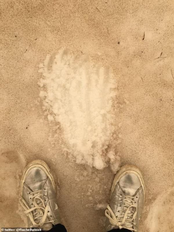 地球妈妈生病了故事,地球变暖冰川融化企鹅