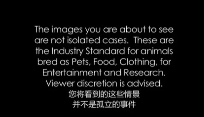 豆瓣9.1这部剧全程高能,豆瓣9.2分最好看的悬疑剧