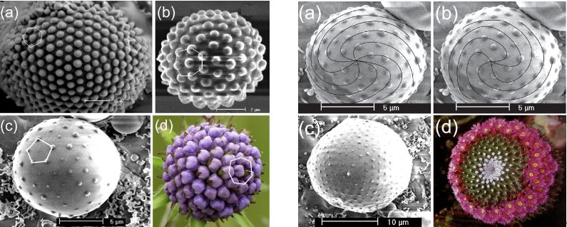 物理学咬文嚼字怎么样,物理学咬文嚼字目录