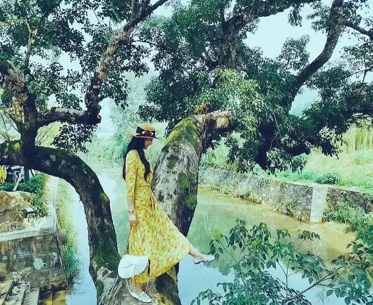 云雾山最近的路线,云雾山二日游