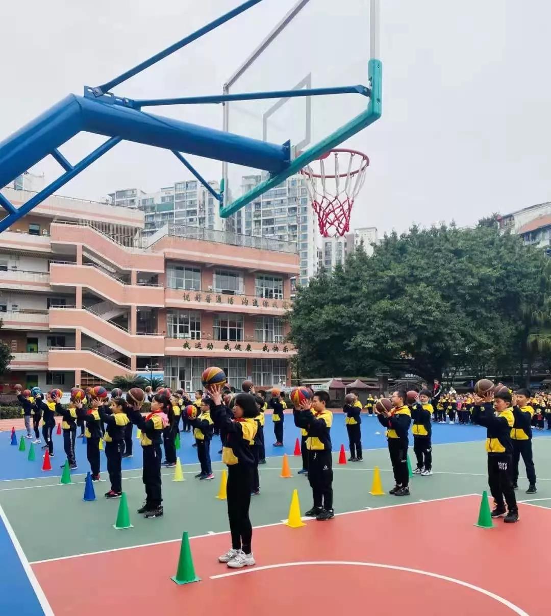 成都小学五朵金花是哪些,成都十大金花小学