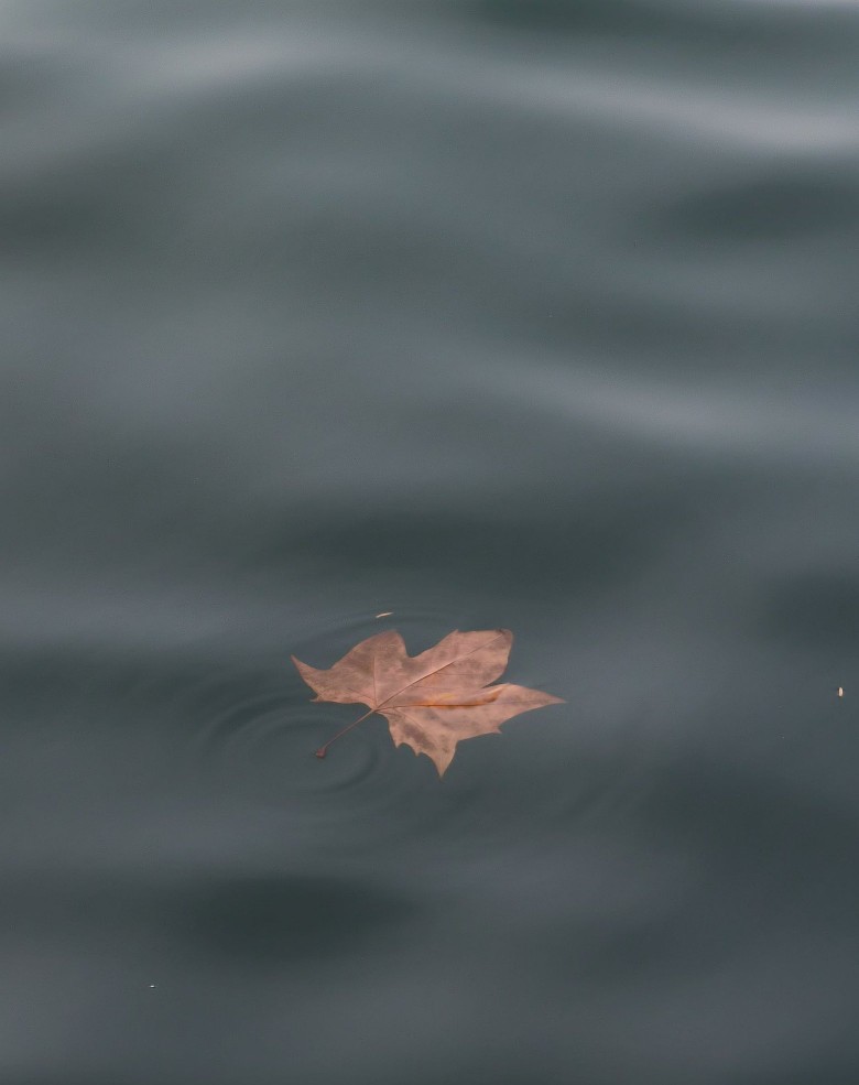 华为的生态越来越好了,华为生态到2023年会有什么