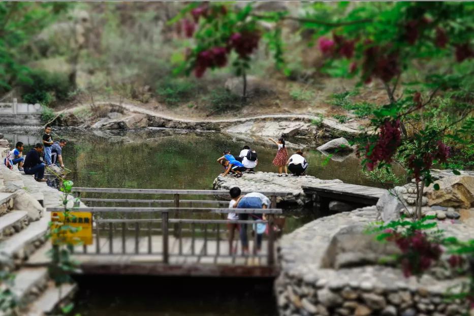 研学旅行不虚此行,研学旅游期待回归